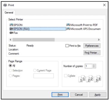 print feature of a computer